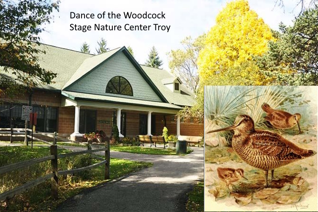 Stage Nature Center in Troy Gives Bird's Eye View of the Dance of the ...