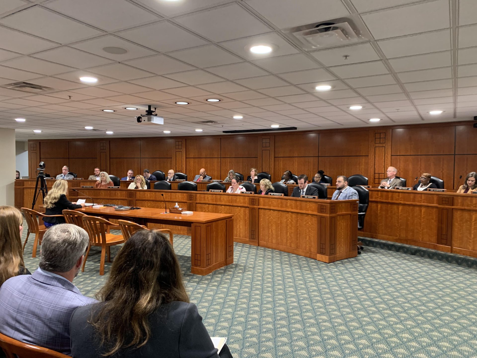 House Committee Hears Merits And Concerns For Reproductive Health Act Bills 4606