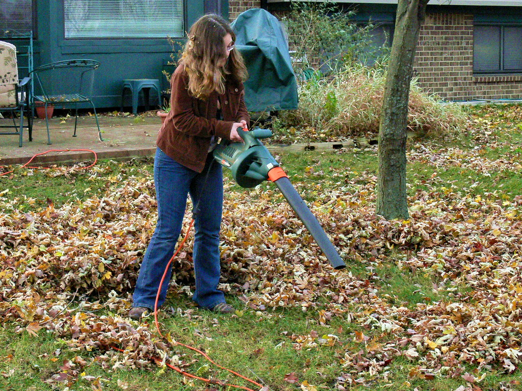 Could gas lawn mowers be next after Ann Arbor bans gas leaf blowers? 