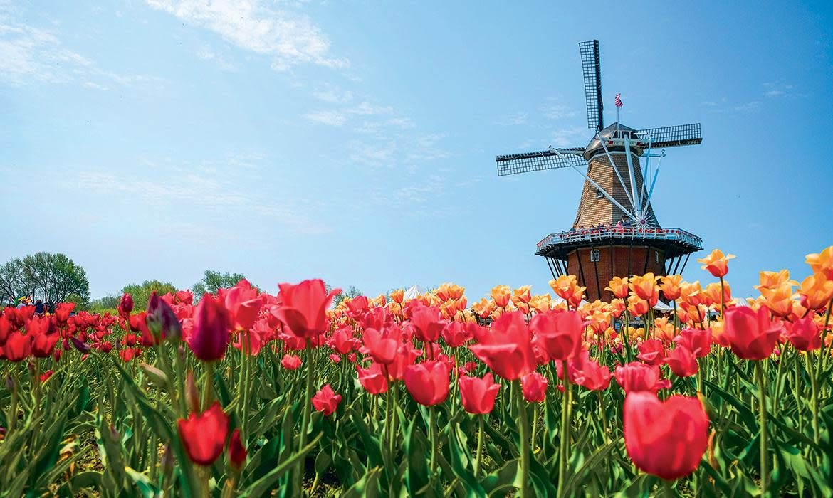 Holland's Tulip Time Festival Blooms an Expanded Schedule for 2025